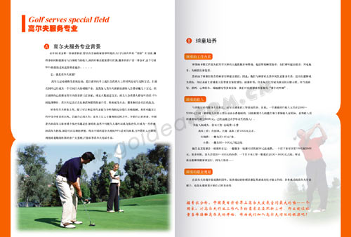 ���������������OӋ