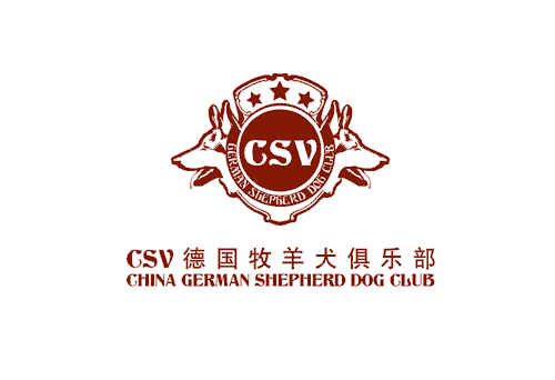 �㘷����־�OӋ