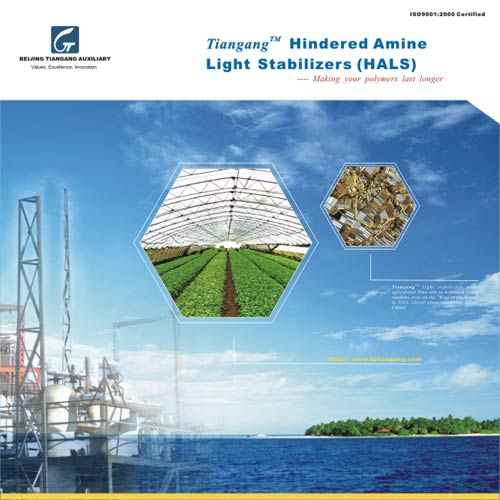 ��� ������