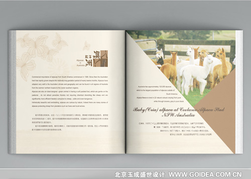 �����ᘿ�Ʒ�����OӋ